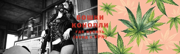 mdpv Остров