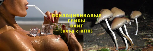 ешки Осинники