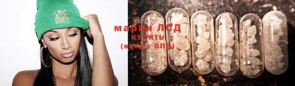 ешки Осинники