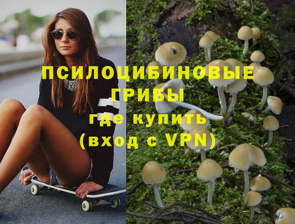 ешки Осинники