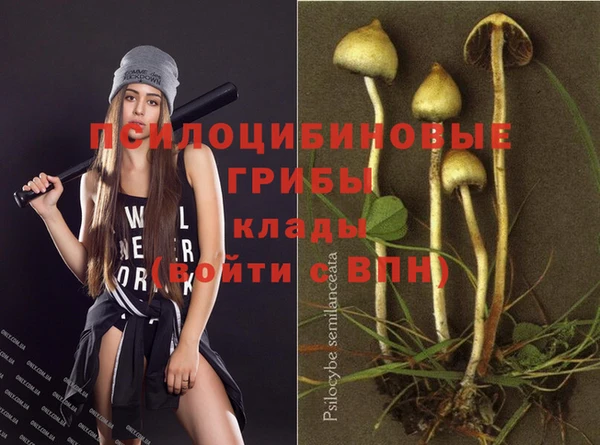меф Осташков