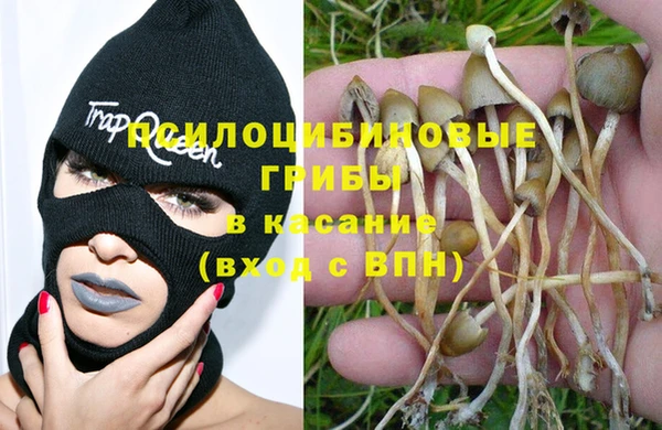 ешки Осинники