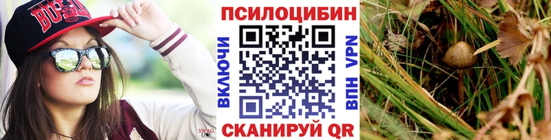 darknet Telegram Кяхта Псилоцибиновые грибы GOLDEN TEACHER что такое наркотик
